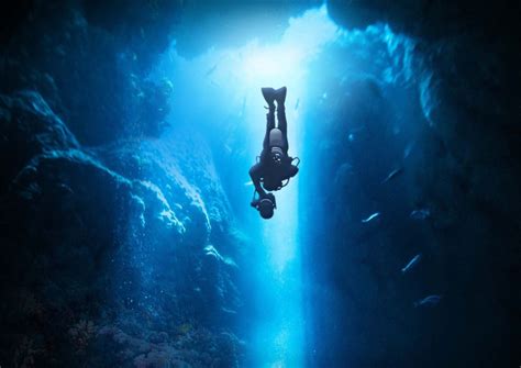 A Deep Dive into